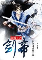 Sword Emperor of One Piece